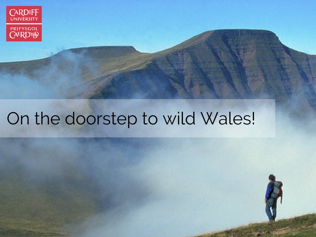 The festive holidays are the perfect time to explore a little further afield and see what Wales has to offer!

From the mountainous #BreconBeacons ⛰️ to the rugged coastline of #Pembrokeshire 🌊 which parts of wild #Wales have you explored so far?

cardiff.ac.uk/study/undergra…