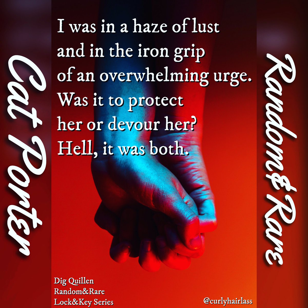 korrieskorner's tweet photo. Sigh...Dig Forever ✌️ The #lockandkeyseries by @catporter103 will always be at the top of my list. I love my unicorns 🦄. #digforever #mcseries #badassbikers #longhairedmen #tattooedmen #alphamales #strongheroine #steamyromance #romancereader 🔐🚬🏍☠️ https://t.co/II0Bb8V4vy
