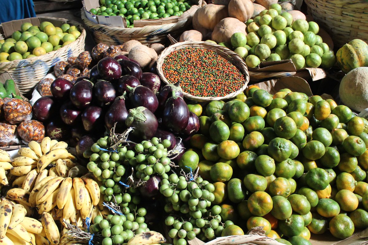 Eat_United's tweet photo. Do you know what a healthy diet looks like? Can you afford to eat healthy? And if you can, do you choose to? What is in your local food shops?
Health problems associated with poor diet are rising globally. We need to address economic, educational &amp;systemic reasons behind it! https://t.co/I6yGh3CYTr