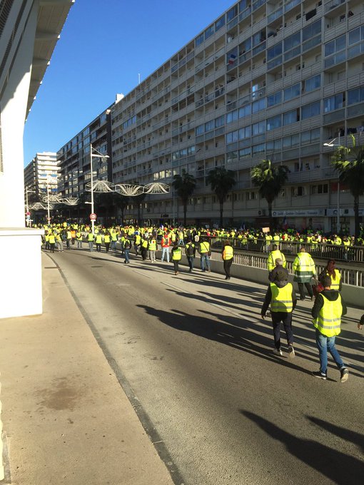 View image on Twitter