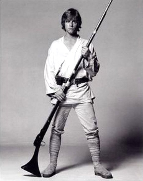 studiotstella's tweet image. "Star Wars" / "Nausicaä of the Valley of the Wind" #風の谷のナウシ