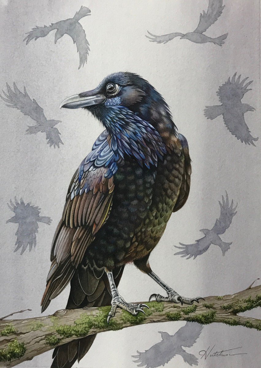 Smithy Gallery tweet media
