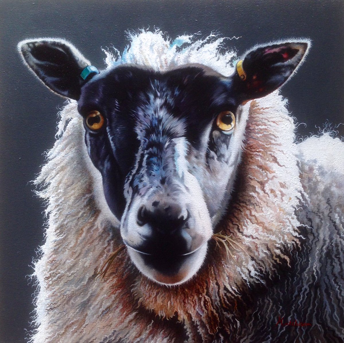 Smithy Gallery tweet media