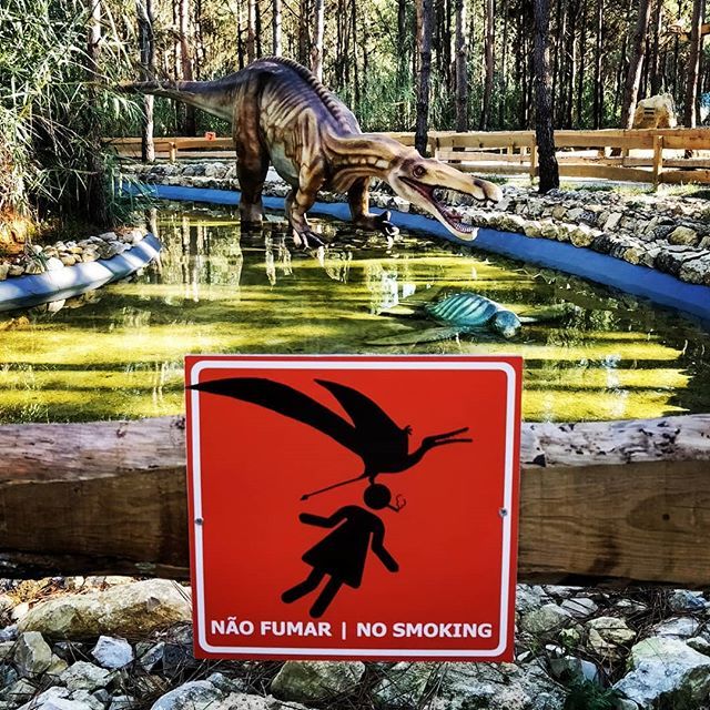 A sign to either dissuade or entice 😏🦕