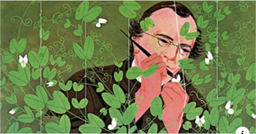 materia_ciencia's tweet photo. Gregor Mendel escribió a los más grandes biólogos de su tiempo, Darwin incluido. Ninguno le respondió. Murió un día como hoy en 1884, siendo un desconocido, a pesar de haber descubierto cómo los hijos heredan los rasgos físicos de sus padres. https://t.co/LBmIeiMGTu https://t.co/Zo8uLsi6ba