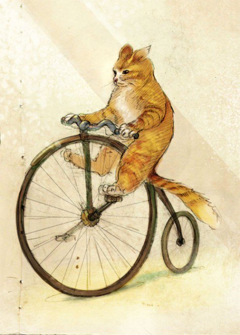 maype7's tweet photo. @130629130629 @promorama39 @TammyJLemley @blakiecarmen @StefanSubotic91 @ArHokum @mofaizal09 @PenelopeRuzy @StefanKroeger3 @Verywimp @crea_bea_5 @AnatCastle @MontiVanessa1 @lynda3035 @sadino22 @mmjoymm_StP @CherrylezamaPaz @SLARTZONE @Lorebl034 @_Cristian_Vlad_ @meerbakker @TopogigioRini @Pho2oart @coogan_janine @ViviHua71296541 @Daring35991901 @whnunes @DenArgoat @christelaaldrs @oxMiliexo @Gerie_Ooms @andibeth012 @totorocat43 @bettinaschroed5 @GaynorBoughey1 @pocs80 @RobVan_Doesburg Evening 🚲#Cats🚲 #HWeekend https://t.co/76iKbGwpY4