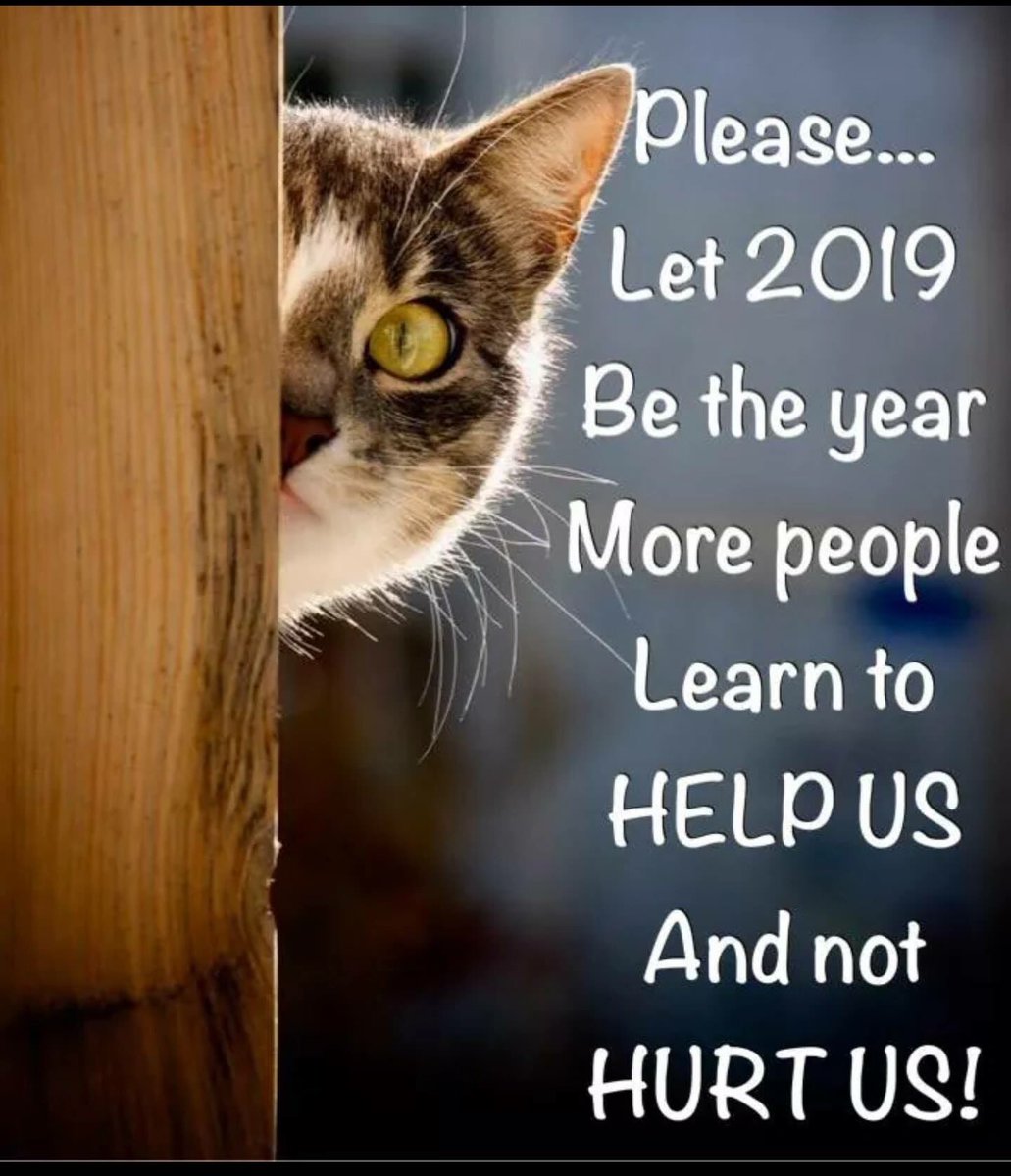 Please #2019Hopes ❤️🐕🐈🐆
We must #StopAnimalCruelty 😢
And ✨#happynewyear #caturday