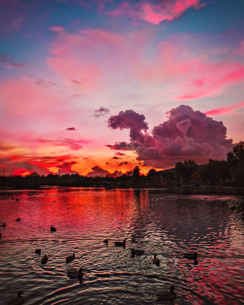 GilbertYourTown's tweet image. Duck, duck... camel? Do you see it, too?! ☁️ 🐪 #SaturdayThoughts

We LOVE this photo taken by Casey Olson at the Riparian Preserve.

Tag us in your own photos for a chance to be featured! #LifeInGilbert