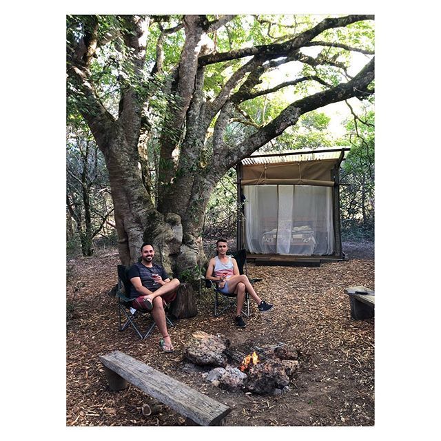 Happy glampers. 👌🏻🥂🏕🌿
#
#
#
#trees #tent #forest #nature #beautiful #peaceful #platbos #platbosforest #platboswonders #discoveroverberg #vacation #glamping #special #memories #letstart2019 bit.ly/2RyomUr