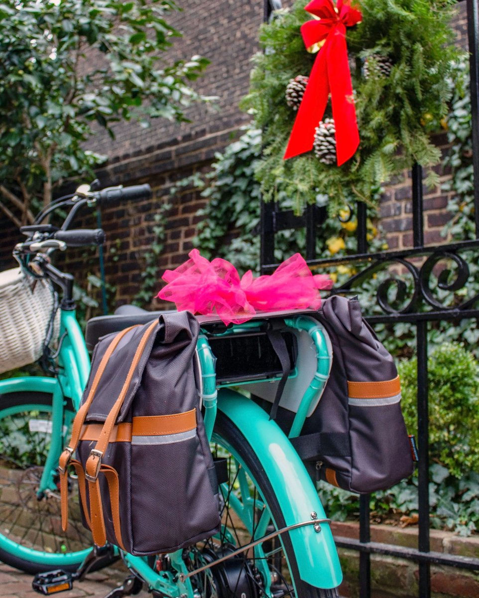 pedego panniers
