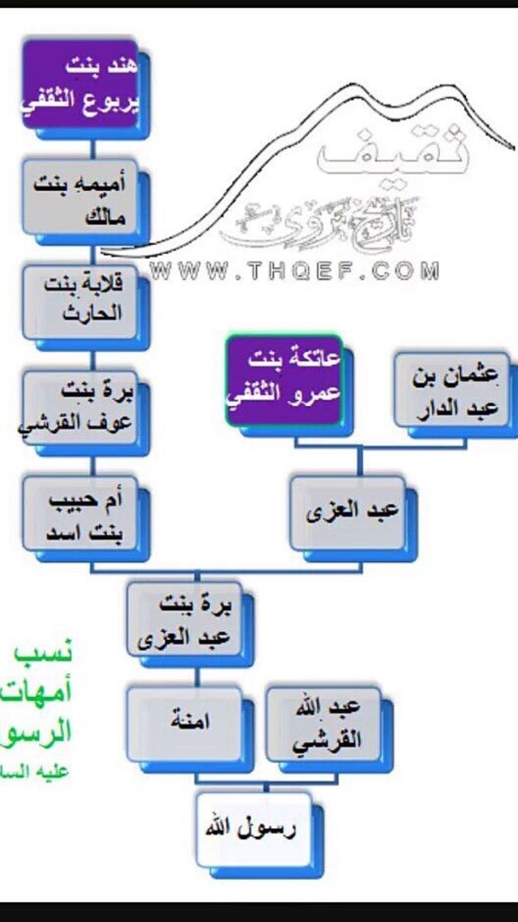إبن هـادِي الثقفـي tweet media
