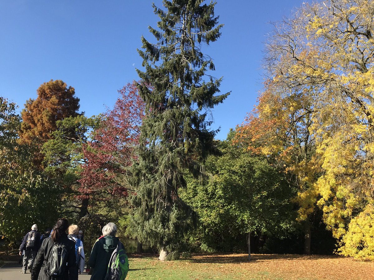 londonstrollers's tweet image. Enjoy one of London&apos;s great walks tomorrow: across airy Blackheath, through Greenwich Park, and along the sweep of the River Thames. A joint FREE walk with @londonstrollers + Blackheath Ramblers of about 5 miles. @LondonNPC @RamblersGB @Ramblers_London #walks #freewalks #whypay