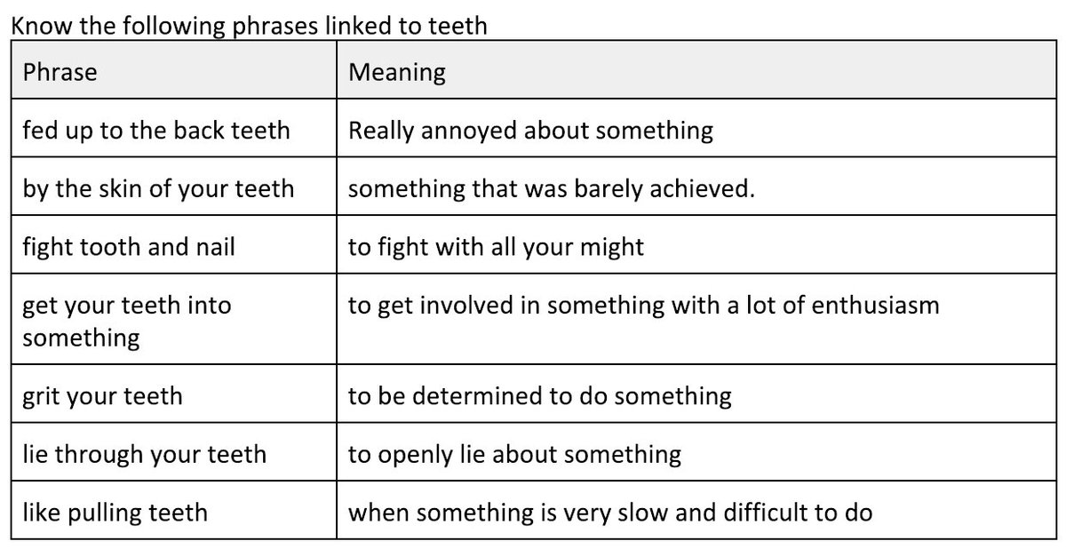 Idioms With Teeth | PDF
