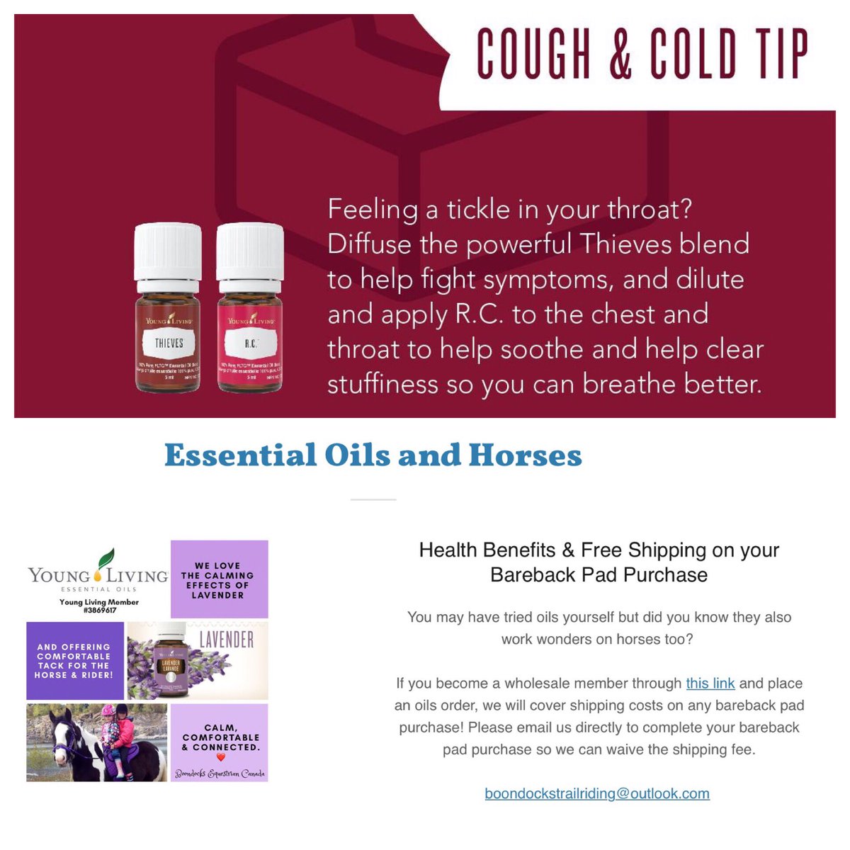Our website has lots of great info w/ our connection to #younglivingessentialoils but a quick note, we now offer essential oil samples with your bareback pad purchase if you wish to try some! We are also inviting motivated people to join our oily team! BoondocksEquestrian.com