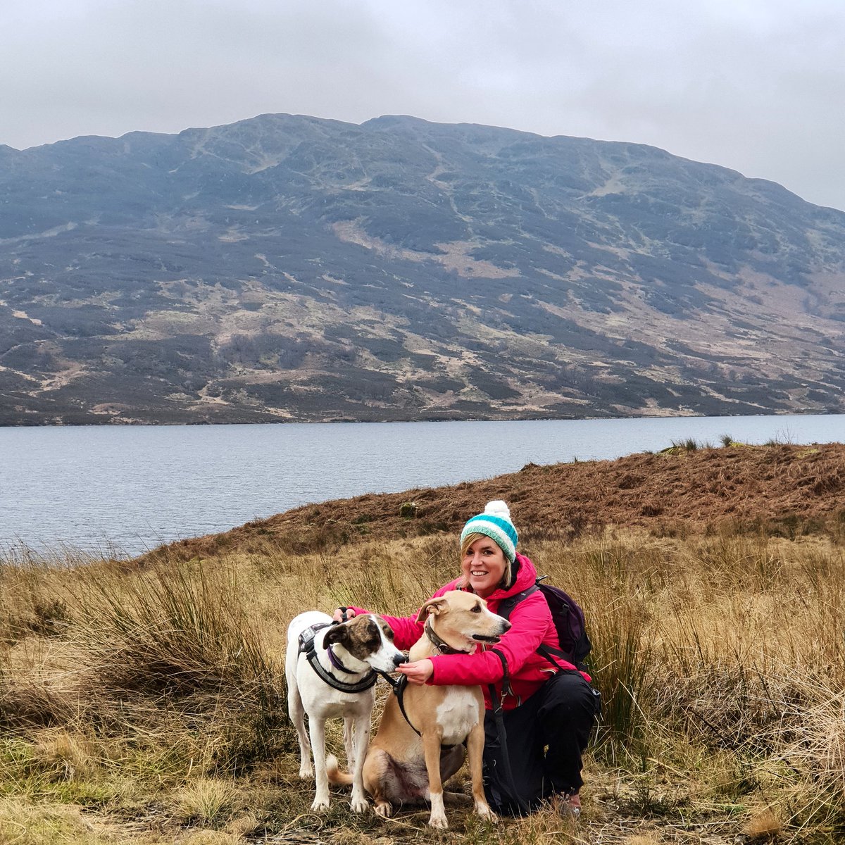cherylgalbraith's tweet photo. #locharklet #remoteloch #arklet #lochkatrinesneighbour #scotland #outdoors #freshair #scottishscenicviews #scottishviews #dogwalks #russainrascals #russianrascaltwins #megamuts #rescuedogsofinstagram #petselfie https://t.co/TnepBRphb0