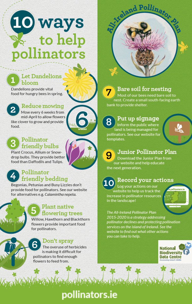 Still deciding on your resolutions for 2019? Why not help our endangered pollinating insects by taking these simple steps. For more, see pollinators.ie
#AllIrelandPollinatorPlan