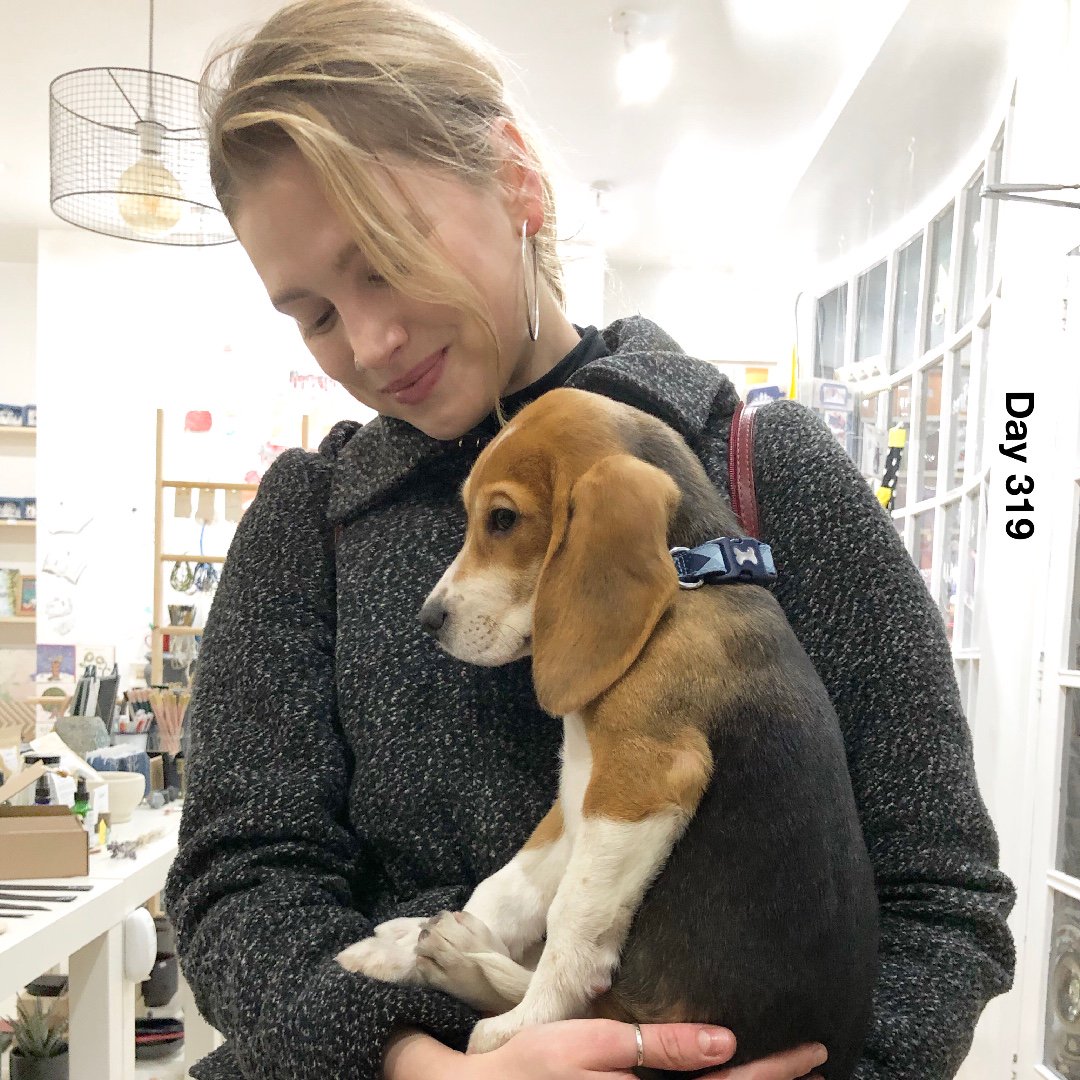 Mutrend Lab tweet media