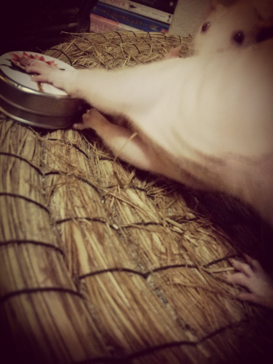 ListBelow's tweet image. I'm going to teach them to break into bank vaults instead of my lip balm