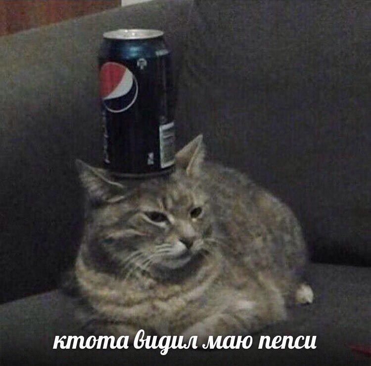 RussianMemesLtd's tweet photo. has anyon seen me pepsi https://t.co/sdpvUukkyz