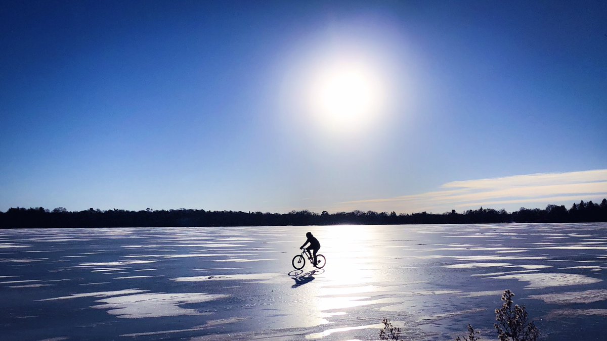 Resilience Intel tweet media