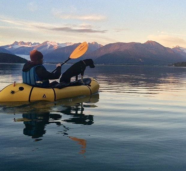 AlpackaRaft's tweet photo. โOut for an evening ocean paddle from our home on Douglas Island, Alaska. Mendenhall Glacier is in the background.โ ~Deanna H. Enter our #DogsOfPackrafting Photo Contest! Plus, read our blog to learn how to packraft with your pup: https://t.co/eSyzevpGfb https://t.co/HoB2pVEGef