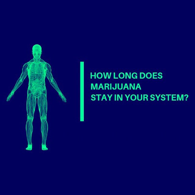 cloudponics's tweet image. The half-life of THC are best estimated at 3 – 4 days after ingestion. But depending on the quantity of THC ingested and frequency of use, half life may even extend to 10-12 days after ingestion. 🌱 Grow your own with CLOUDPONICS automated hydroponics systems.
•
#Cannabis