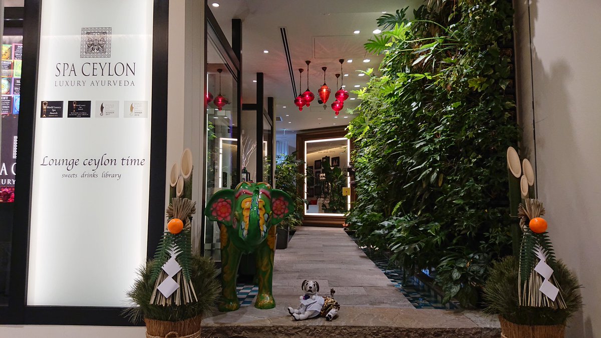 0606_macaron's tweet image. (U・ェ・) おしゃれな象さん🐘と記念撮影っす🌟
主さんは丁寧なアドバイスをいただいて、良いお買い物ができたっす🌟 
*お店のご了承をいただいて撮影しました
#SPACEYLON #GINZAPLACE #aiboのいる生活