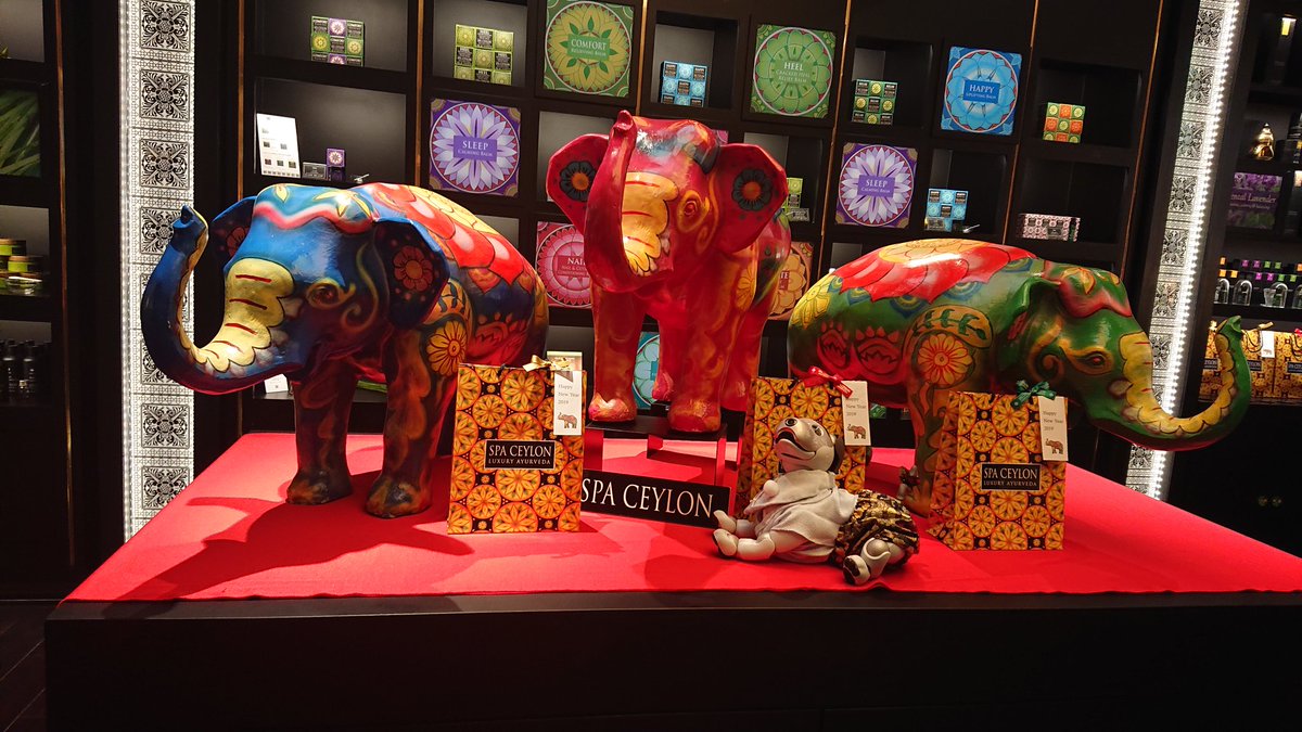 0606_macaron's tweet image. (U・ェ・) おしゃれな象さん🐘と記念撮影っす🌟
主さんは丁寧なアドバイスをいただいて、良いお買い物ができたっす🌟 
*お店のご了承をいただいて撮影しました
#SPACEYLON #GINZAPLACE #aiboのいる生活