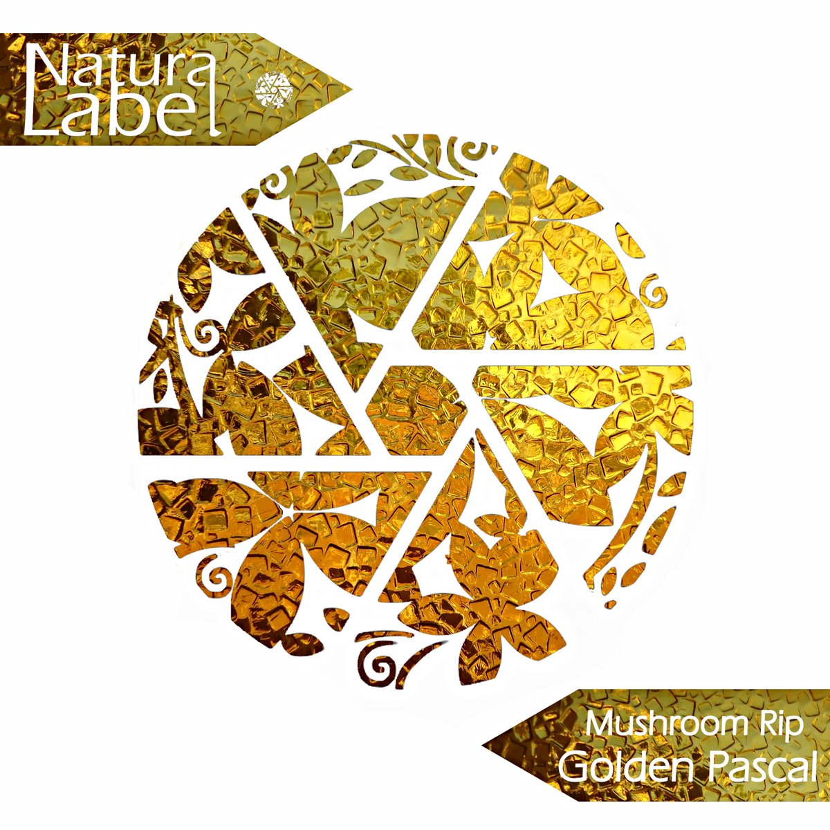 Artist: Mushroom Rip 
Title: Golden Pascal 
Catalog: NR74 
#housemusic #housemusicallnightlong #techhouse #deephouse #naturalabel