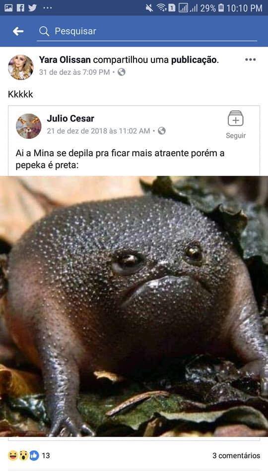 Suposta participante do BBB19 é eleitora do Bolsonaro e já compartilhou piada racista