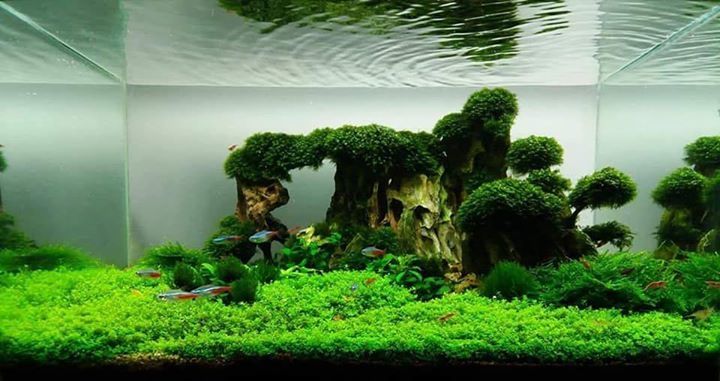 acuario3web's tweet photo. Scapetical https://t.co/xCG1OP3Ur1