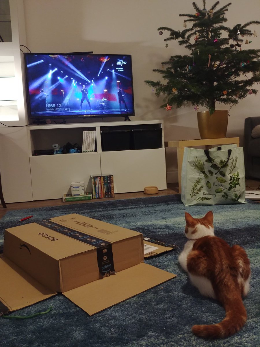 sarahcpjones's tweet photo. Omg just noticed the kitten is watching attentively! He was obviously meant to join our family 😻
#panko #PBBO #Eurovision #eurovisionfans #catsofeurovision https://t.co/j4Vkno5PuU
