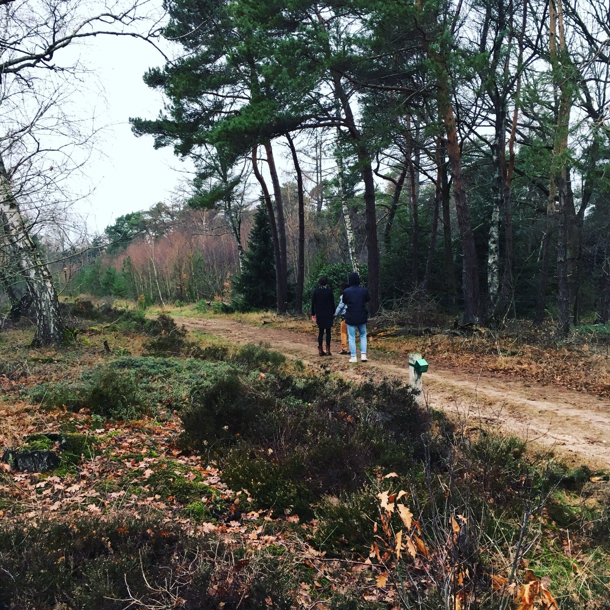 Hilde_Vos's tweet photo. The recordings of my second video clip took place in the beautiful surroundings of Holten. Can’t wait to share 🙏🏼#countrymusic #country #wheneveryoucomearound #duet #countryduet #cover #coversong #video #recordings #videoclip #juanniks #juanrichard #holterberg #holten #lovesong https://t.co/1R1AEavl0s