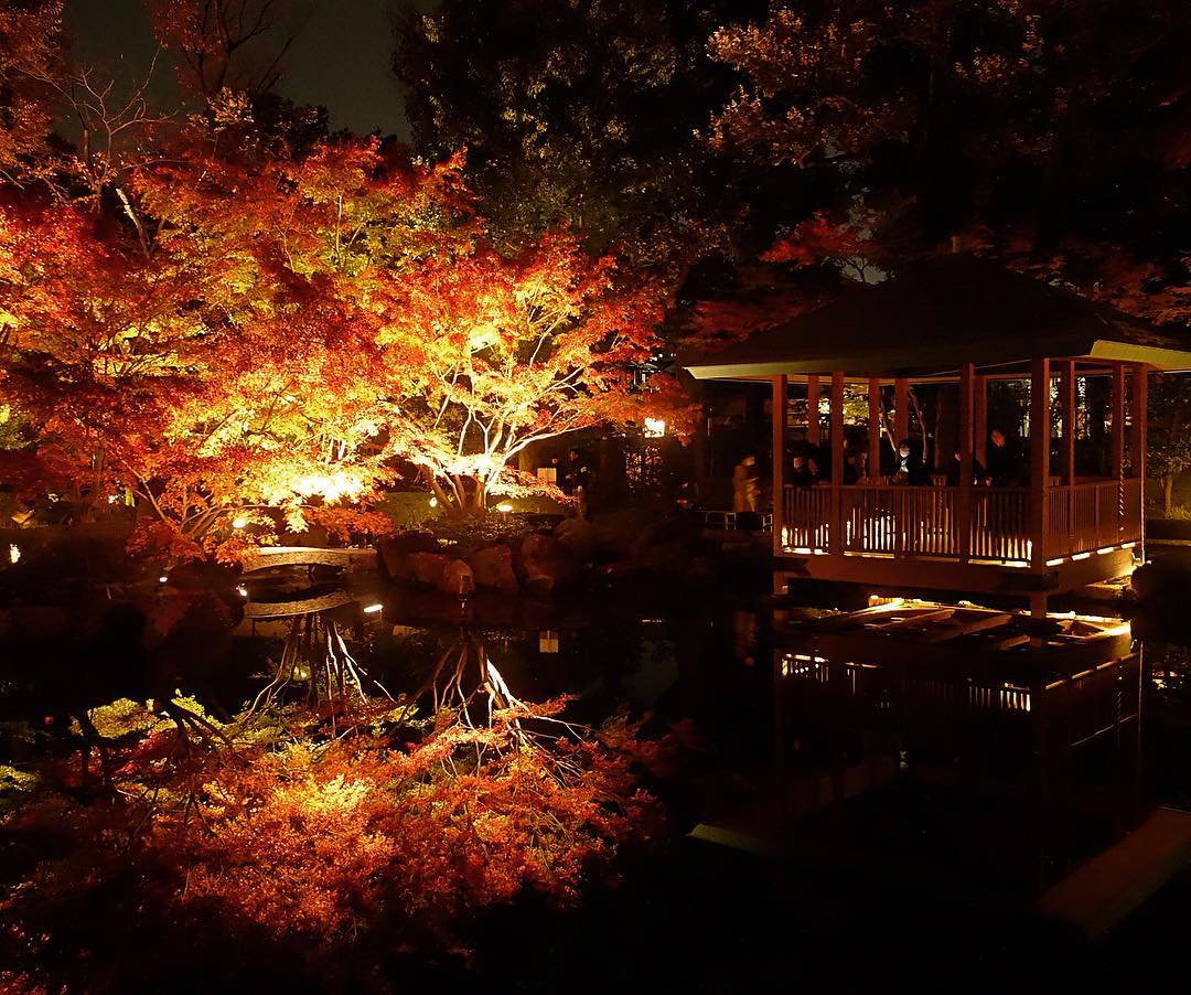 Superbview_wrd's tweet photo. 荻窪の『大田黒公園』 ★★ https://t.co/OaEth3g3Ga