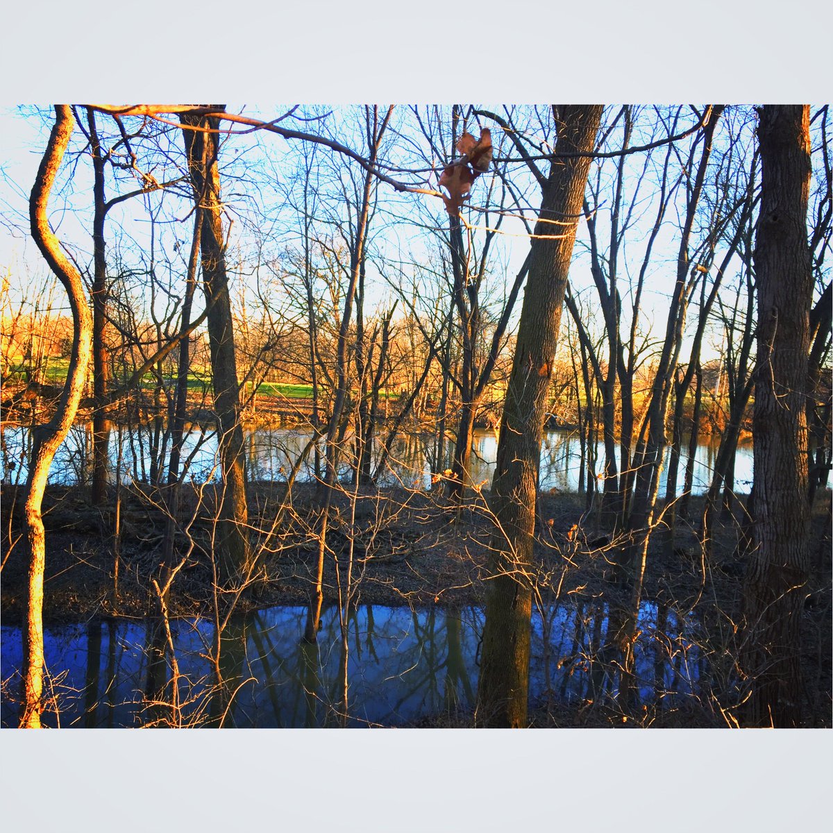 VandiEnzor's tweet image. #riverroadpark #indiana #visithamiltoncounty