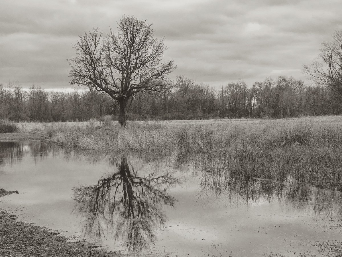 #bhportdev