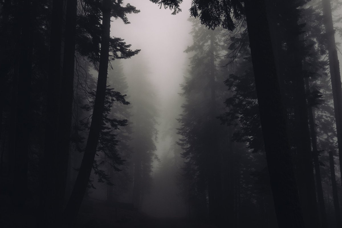 CxnineStrxder's tweet photo. ———————————
“This world is based between the war of wolves and sheep.
Leave one wolf alive, and the sheep are never safe...”
———————————

-Half-Elf Mercenary For-Hire
-Burdened with Lycanthropy
-Renegade of the Greyhollow Brotherhood https://t.co/aP0GeSJiuf