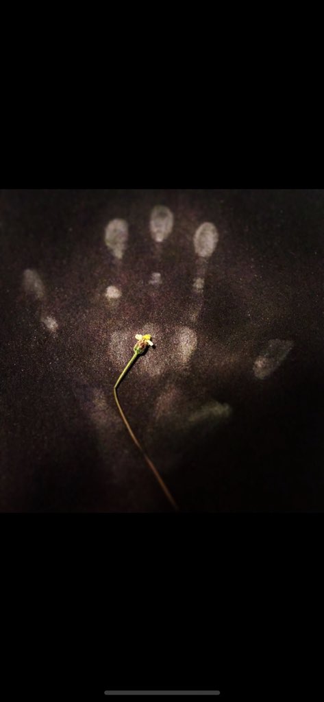 Check out my new song “Drown” on SoundCloud m.soundcloud.com/sil-sar-864609…