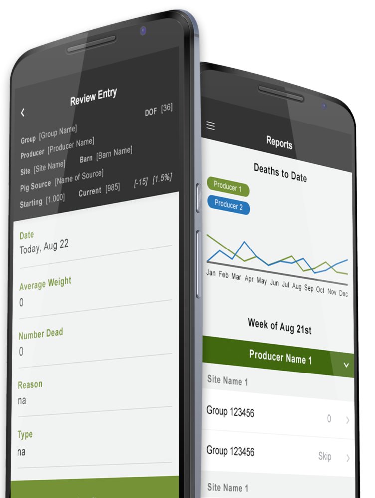 Agriculture is our focus. Find out what solutions were concocted with our work with MetaFarms. bit.ly/2TBmE27