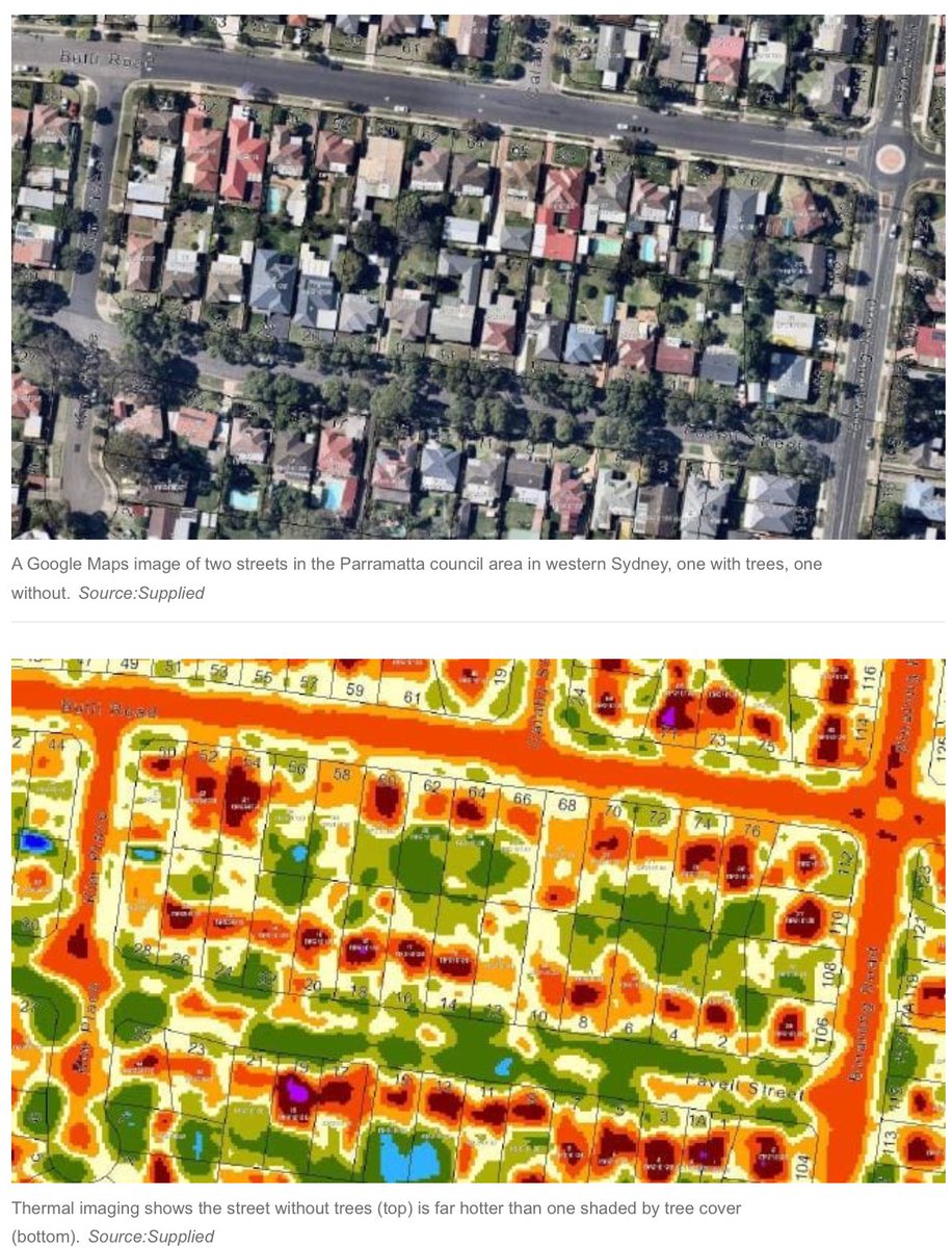 GregVann's tweet photo. A graphic illustration of the value of #streetrees: https://t.co/J7tHWTTRLr