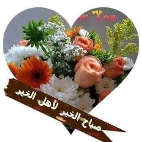 Nareman medlij263671 (@nareman263671) on Twitter photo 
