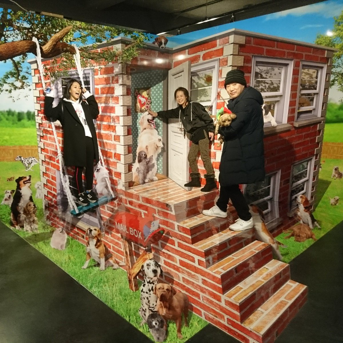 トリック3dアート湯布院 可愛いワンちゃんとご家族様で ハイポーズ トリック3dアート湯布院 湯布院 由布院 ゆふいん Yufuin Art Trip おもしろい 不思議 アート カメラ好きな人と繋がりたい 旅行好きな人と繋がりたい ワンちゃんok ワン トリック3dアート湯布院 可愛いワンちゃんとご家族様で ハイポーズ トリック3dアート湯布院 湯布院 由布院 ゆふいん Yufuin Art Trip おもしろい 不思議 アート カメラ好きな人と繋がりたい 旅行好きな人と繋がりたい ワンちゃんok ワン