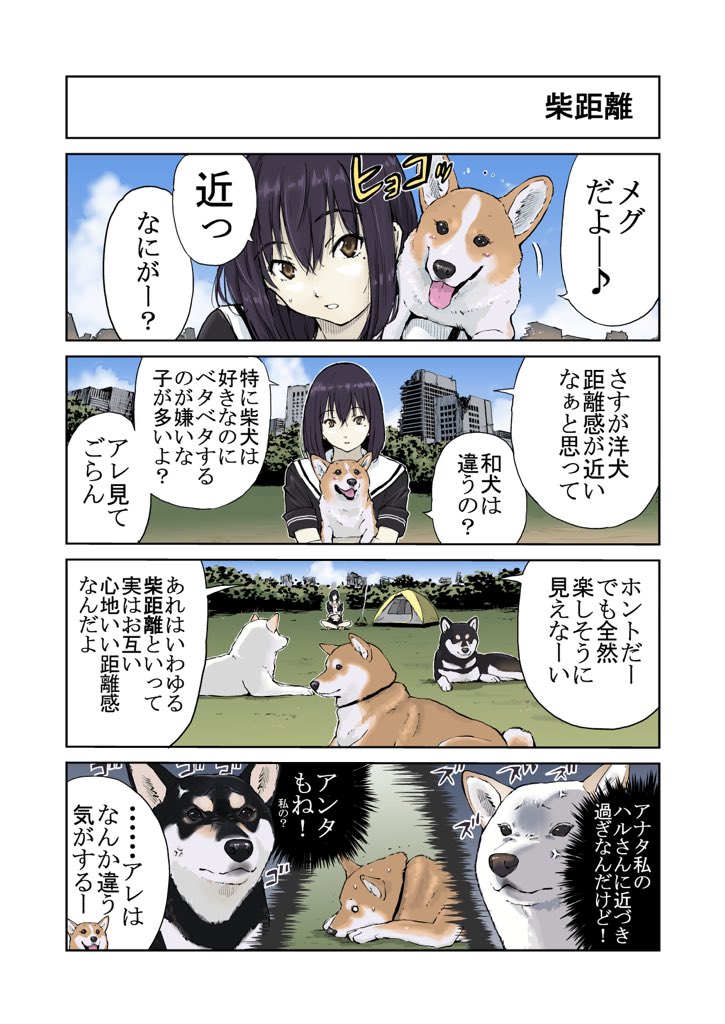 世界の終わりに柴犬と 柴犬 4コマ漫画 世界の終わりに柴犬と 柴距離の話 話題の画像がわかるサイト
