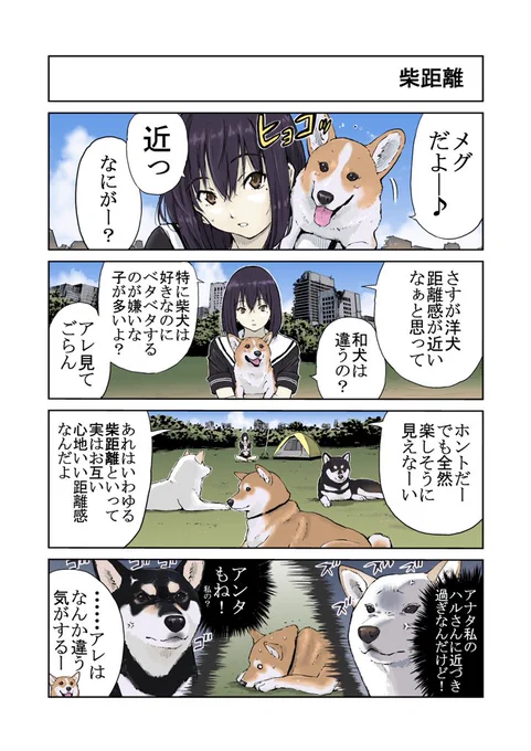 #世界の終わりに柴犬と #柴犬 #4コマ漫画世界の終わりに柴犬と 柴距離の話 