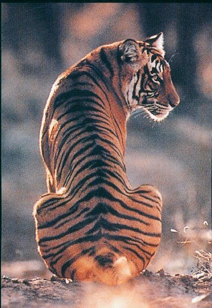 VenkyPrabhas01_'s tweet image. Close Enough
Fiscally Fit  💪💪