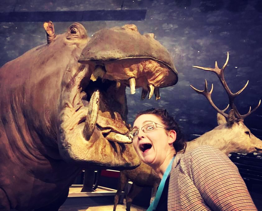 Museums:
If you don't take ridiculous photos with the exhibits then did you even learn anything? #NHMLondon #Dinosnores