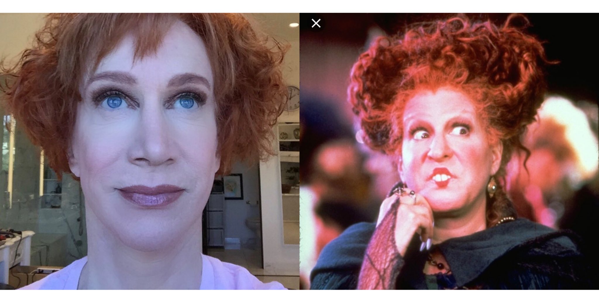 Terrence K. Williams on Twitter: “…….. https://t.co/xDJMWz59K0