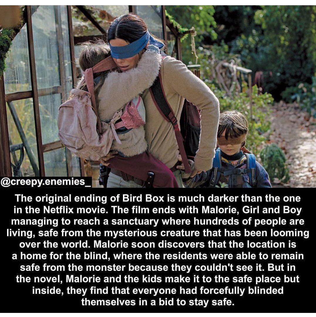 SKarthikeyan77's tweet photo. Early morning & #BirdBox makes the day Awesome ๐.. I really enjoyed every moment of the movie ๐..
#BirbBox
๐๐.. @NetflixIndia @NetflixFilm https://t.co/DRyuX6dmy4
