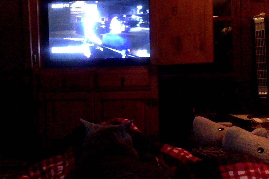 Beyond_I_Do's tweet photo. Watch party! #LivePD The Russian, 2 shark slippers, and me. MegaHound (who doesn't #FindDope) is helping hubby with laundry. @OfficialLivePD @LivePdFans https://t.co/Lm4hXWjWIQ