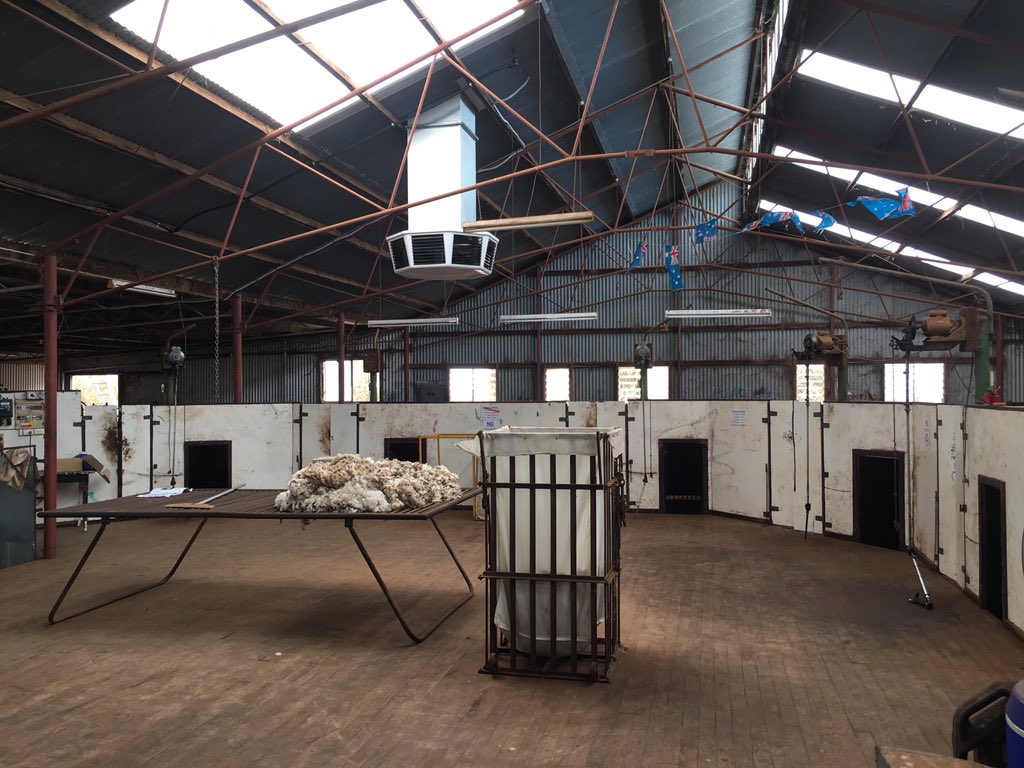 ashtongray01's tweet photo. Lucky shearers, evap aircon installed π! #summershearing. Have a good contact if anyone is chasing a similar job. https://t.co/b6P2lnRae3